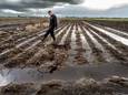 Akkerbouwer Martin Veerenhuis  een verregende akker in Vroomshoop waar nog geen aardappelen de grond in kunnen.
