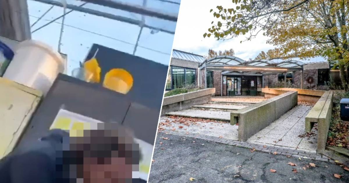 KIJK. Leerkracht van Brugse school verliest geduld tijdens discussie met leerling: “Ik zal het eens 