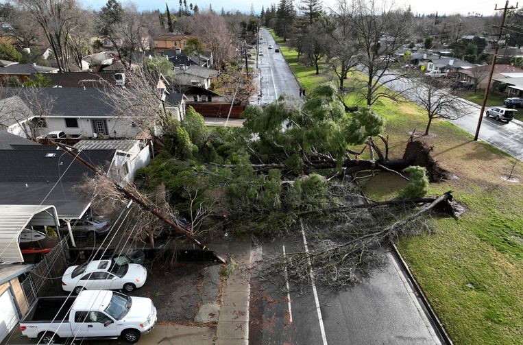 Sacramento, Californië. Beeld REUTERS