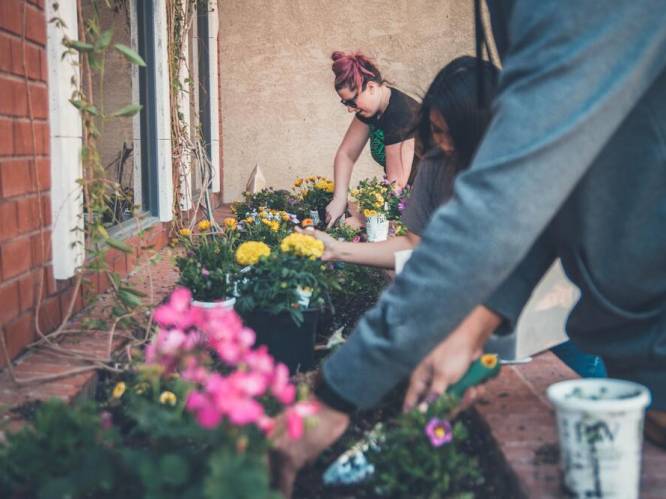 Win tot 3.000 euro met jouw buurtproject: “Wie in een  hechte buurt woont, is blijer en gezonder”
