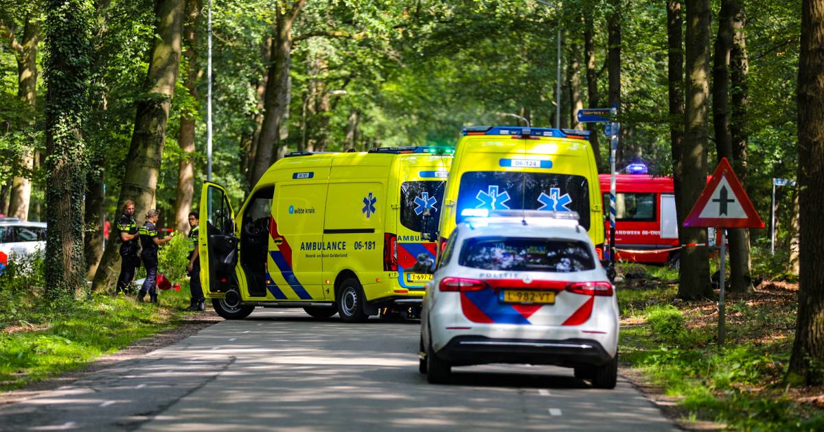 Dode en zwaargewonde bij ernstig auto-ongeluk tussen Elspeet en Staverden.