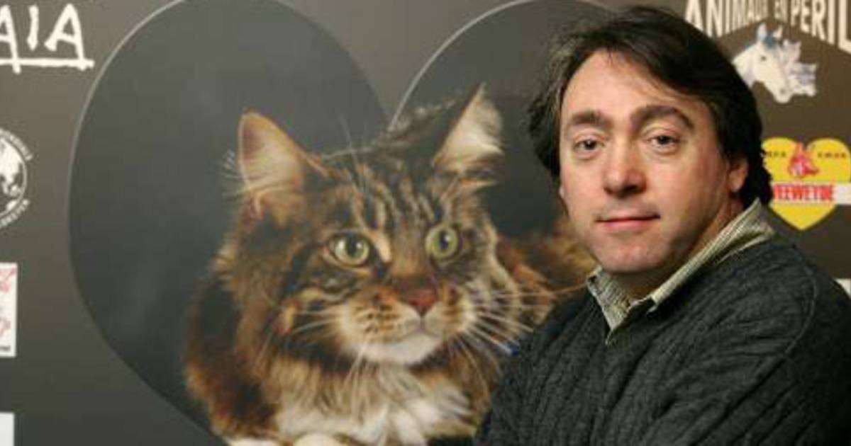Gaia Mobilise Contre La Chasse Aux Chats Belgique 7sur7 Be