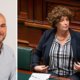 Kabinetten laten aanzwellen tot particratische koninkrijkjes staat veraf van het politieke alternatief dat ecologisten propageren