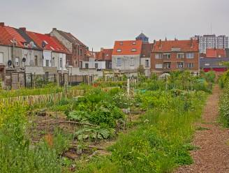 Belgen vinden duurzame woning belangrijk, maar kennen EPC-waarde en Mobiscore niet