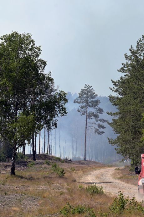 Inquiétude en Allemagne: un important incendie se propage dans une forêt allemande jonchée de vieilles munitions 