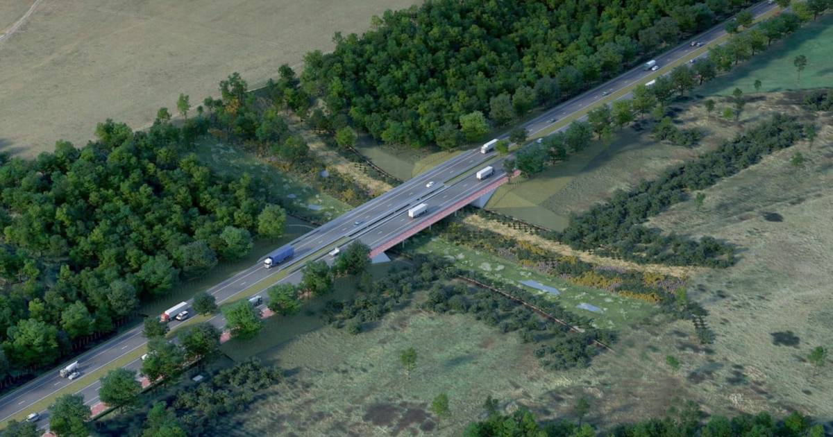 “Goed voor wolven, dassen,... én de mens” graafwerken begonnen voor