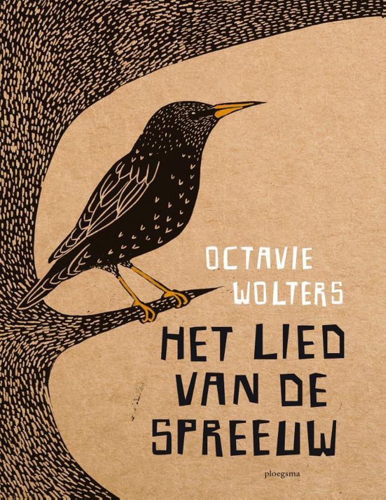 null Beeld   