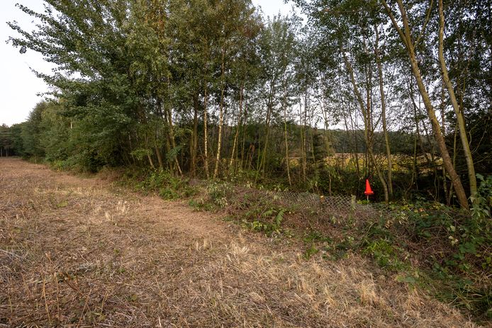 Beelden van de schouw op de Brunssummerheide. Op deze plek werd Nicky gevonden.