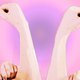 Het nieuwe feminisme van Marja Pruis & Bregje Hofstede: 'Het nodigt niet uit om te flirten als je bang bent dat een man denkt dat hij dan van alles mag doen'