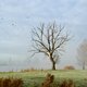 Provincies: maak natuur van alle uiterwaarden