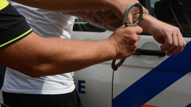 Gestolen auto ontdekt bij verkeerscontrole Den Bosch, bestuurder (16) en twee inzittenden (15 en 18) aangehouden