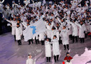 Het team van de Korea's