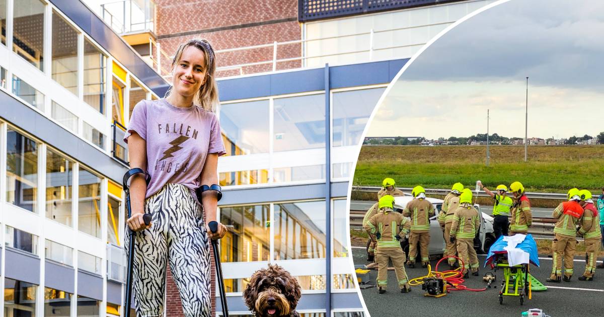 Gewonde bij aanrijding A15 bij Alblasserdam, hond uit auto gerend.