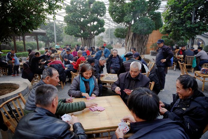 People enjoy their time inside the Jiutian Greenhouse in Langfang, Hebei province.