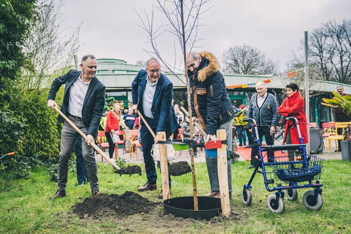 Een eerste witte berk voor het project 'Zuurstof voor Dementie'.