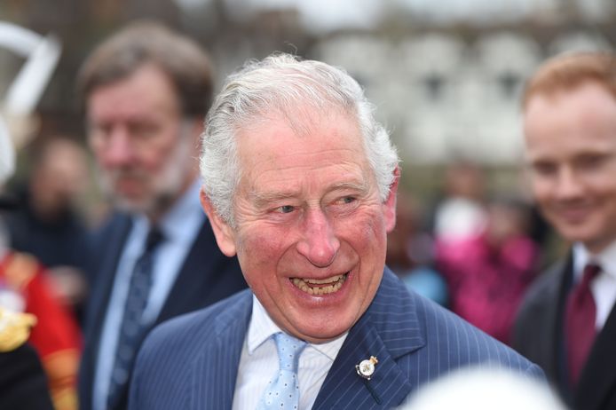 Prins Charles zou van een achterpoortje gebruik maken om minder belastingen te moeten betalen op de toelage die hij aan Harry geeft.