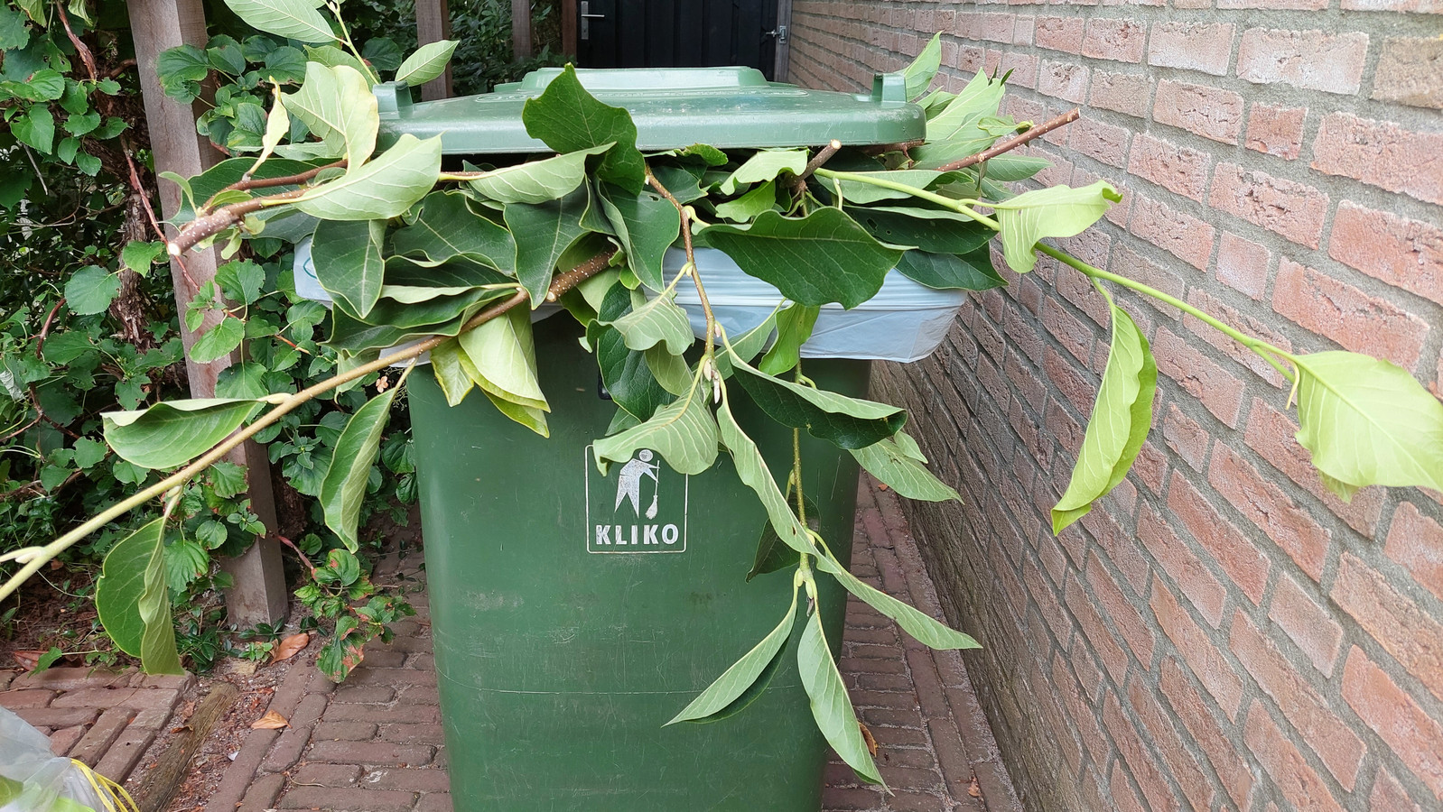 De groenbak in Land van Cuijk