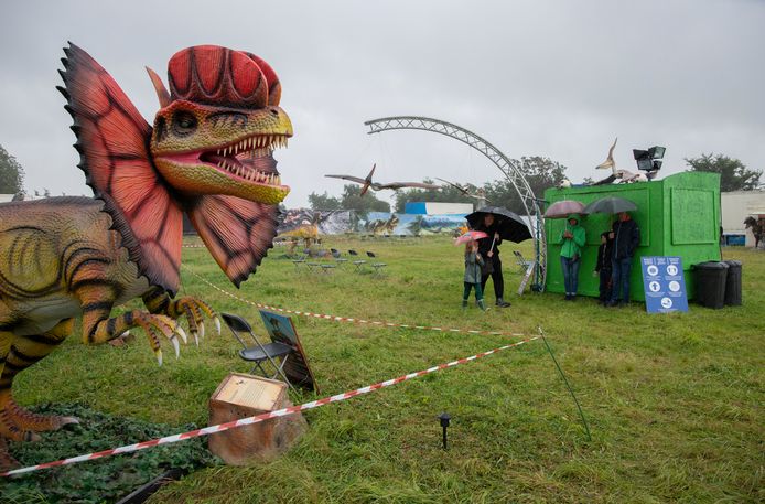 Dino Experience.