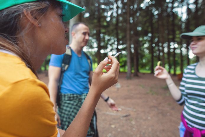Roken in een Vlaams bos? Dat wordt verboden.