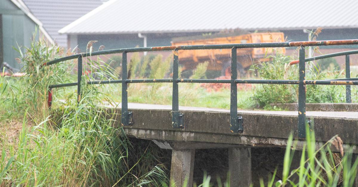 Hardenberg geeft oude brug tweede leven met materiaal waar Max Verstappen mee wint