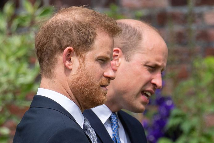 Le prince Harry et le prince William lors de l'hommage à leur maman, la princesse Diana.