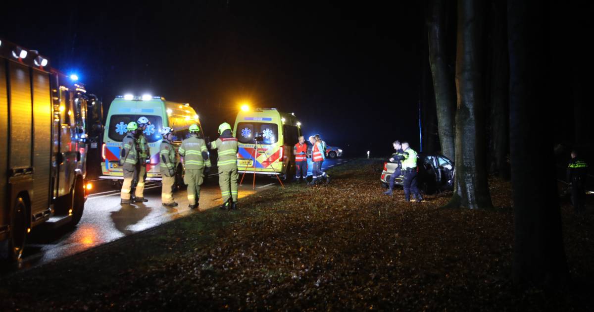 Automobilist zwaargewond bij botsing tegen boom op N224: weg afgesloten.
