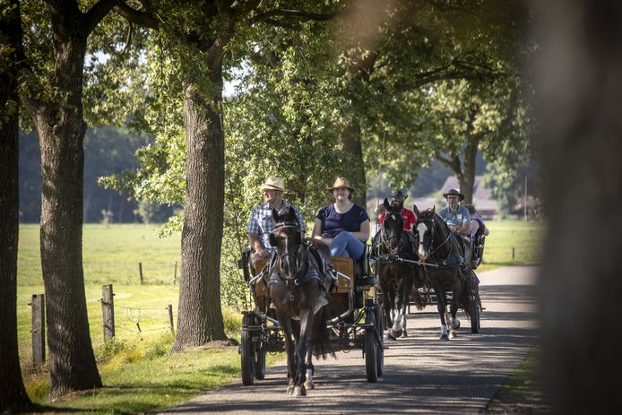 Zeker 75 mensen namen deel aan het zoals nu lijkt, eenmalige Men- en Ruiterweekeinde in Tubbergen.