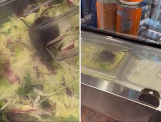 Rat tussen de sla bij Grieks restaurant in Mall of the Netherlands: ‘Ik kom hier nooit meer terug’