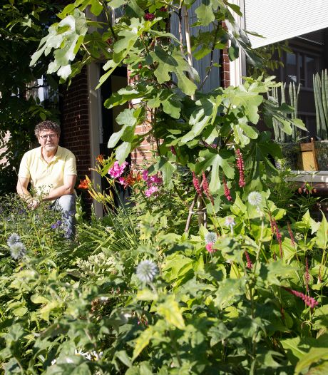 Zestig soorten planten in Oirschotse voortuin van Frank de Bresser: van dropplant tot cola-geranium