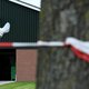Hoeveel pijn lijdt de pluimveesector door het fipronil-schandaal?