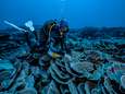 “Zeer ongewone ontdekking”: reusachtig en gezond koraalrif ontdekt voor kust van Tahiti
