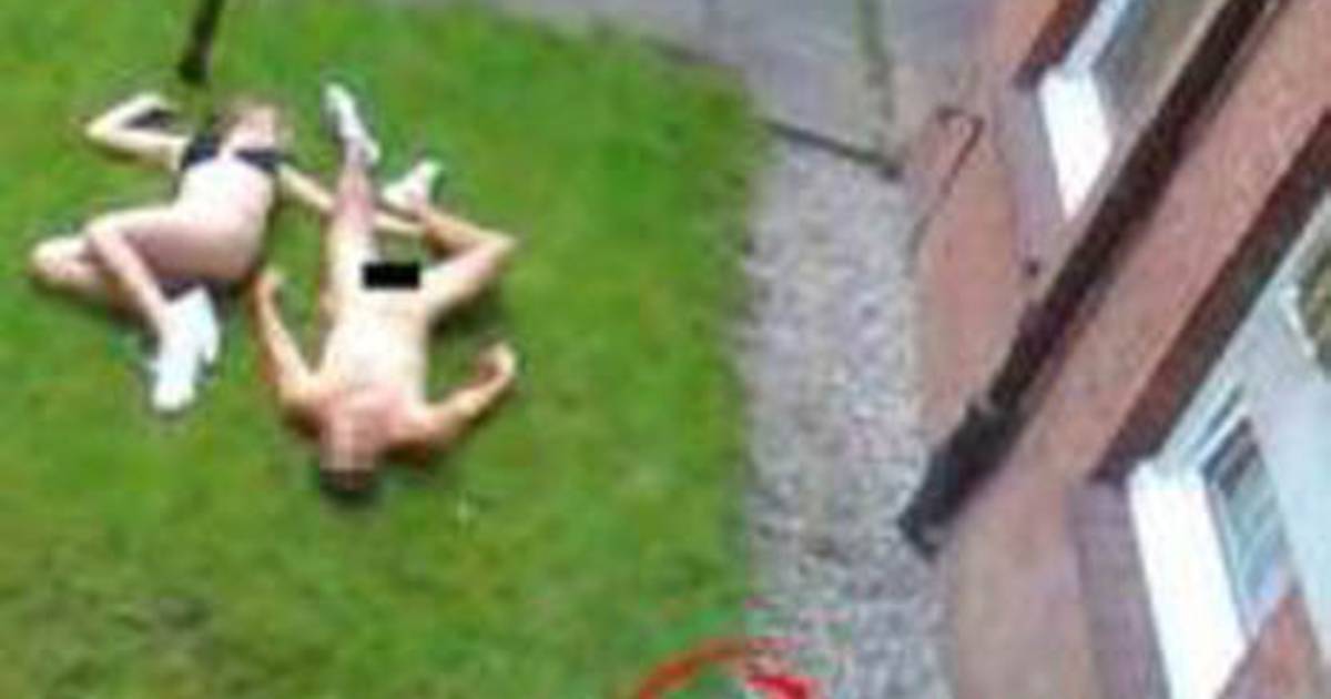 un couple dort nu dans un jardin les voisins immortalisent insolite 7sur7 be