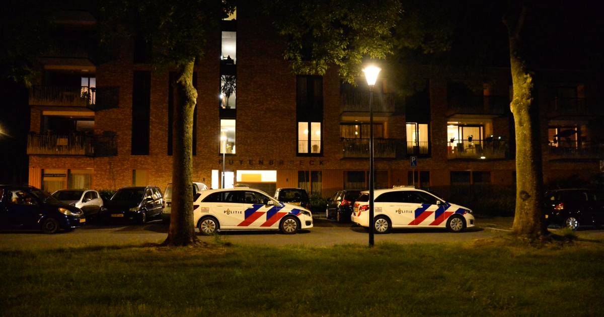 Bredanaar (65) die partner zou hebben gewurgd heeft een ‘zwart gat door alcohol en pillen'.