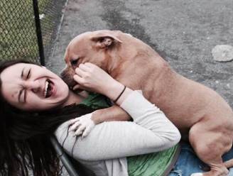 "Hij wil alleen knuffelen": man brengt geadopteerde hond terug naar asiel omdat hij veel te lief is