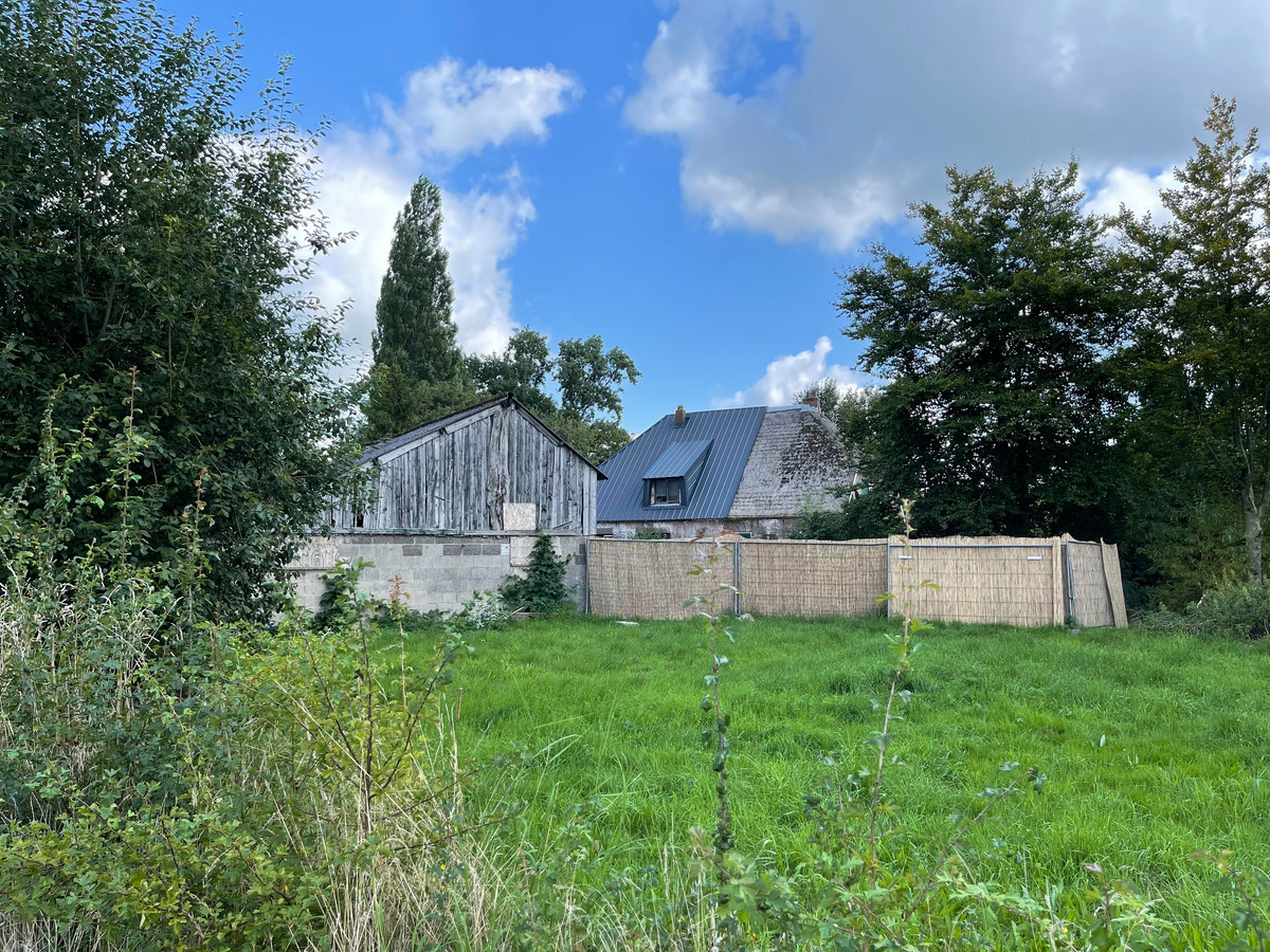 Boerderij Van Dorst Waar Is Dat May Wilkerson Kabar