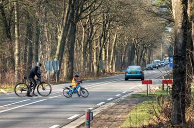 Deze ‘levensgevaarlijke’ bosweg in Harderwijk gaat eindelijk op de schop, maar wel pas in 2026 (op z