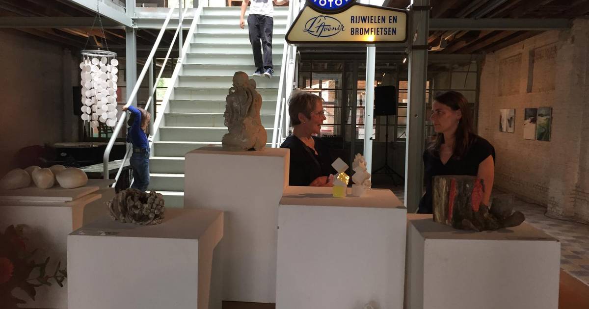 Horecazaak en expositieruimte voor L'Avenir Lier hln.be