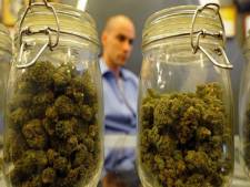 L'Italie dépénalise la culture de cannabis