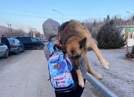 Man draagt oude hond 17 kilometer lang op zijn schouder naar Poolse grens