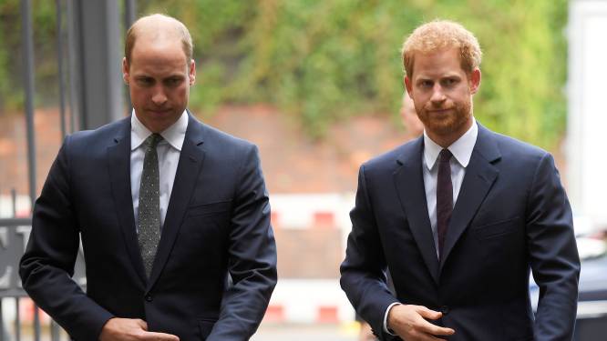 Britse royals hekelen BBC in statement na documentaire met anonieme bronnen