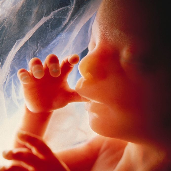 Reeds in de baarmoeder worden we blootgesteld aan roetdeeltjes afkomstig uit vervuilde lucht. Die dringen via de longen van de zwangere vrouw de placenta binnen, en vermoedelijk ook de foetus.