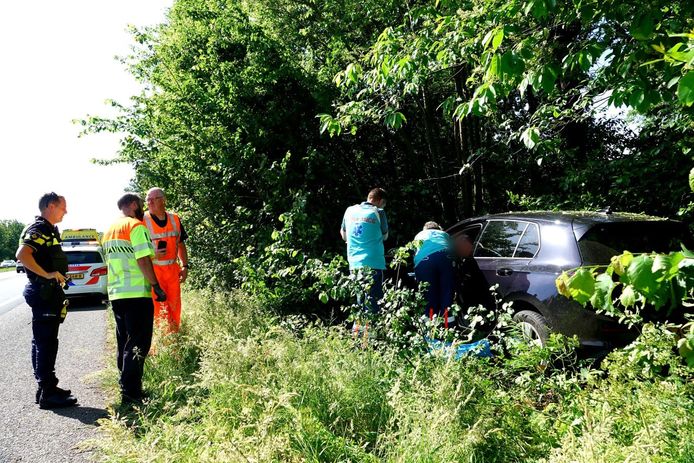 De auto reed eerst ongeveer 100 meter door boscchages, voordat die tegen een boom tot stilstand kwam.