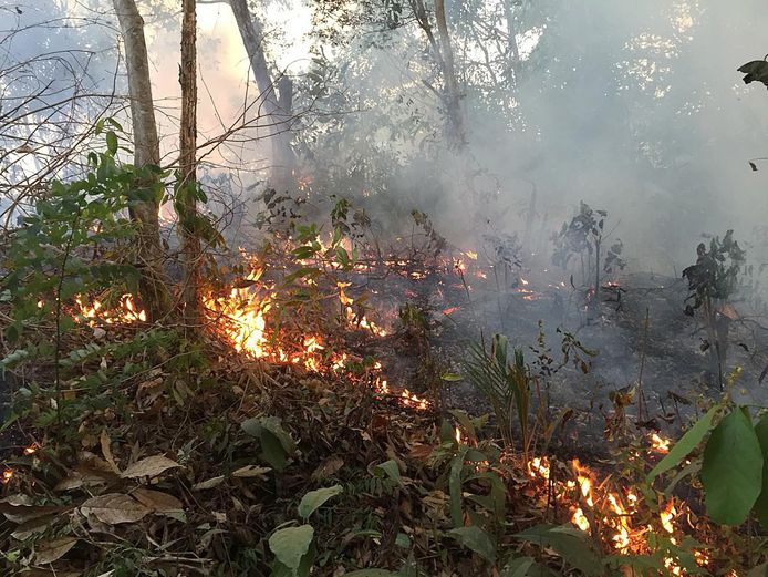 Een bosbrand in Porto Velho, hoofdstad van de staat Rondonia.