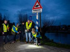 Klaar-overtje spelen voor padden: ‘Weg was soms glibberig van doodgereden padden en kikkers’