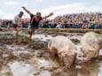 Dierenorganisaties willen verbod op zwientie tikken op Dicky Woodstock