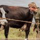 Boeren worden geen boer meer, en dat heeft alles te maken met grootschaligheid en overheidsbeleid