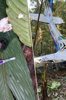 Les enfants perdus dans la jungle depuis un mois sont “toujours en vie”: pourquoi l’armée colombienne en est convaincue