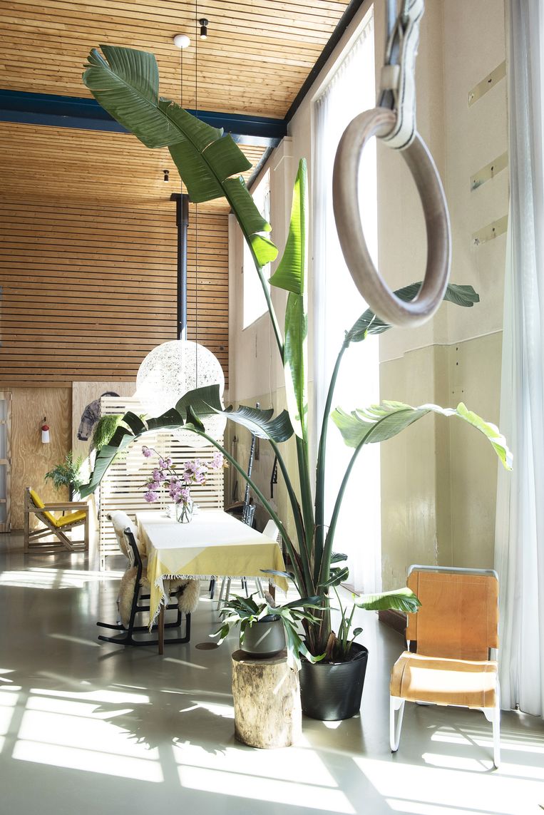 'Planten zijn belangrijk in huis. Ze breken de hoogte en werken mooi samen met het licht. Groen brengt bovendien rust in het interieur.' Beeld Els Zweerink