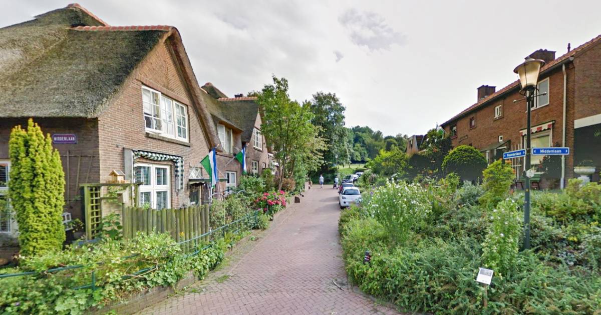 In dit vredige dorp tegen de bosrand wordt de harmonie verscheurd door Nachtelijke Knallen