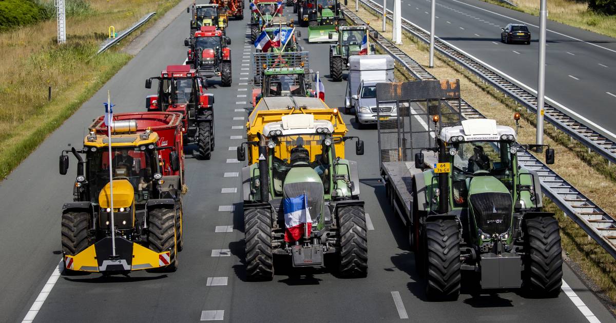 Vertrouwen boeren in overheid is helemaal weg: ‘Ze weten niet waar ze over praten’